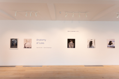 Anatomy of Loss Install 005