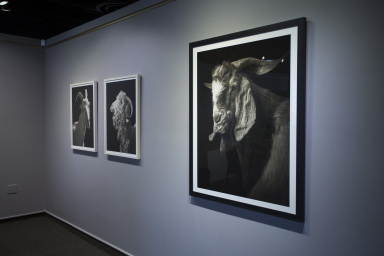 Horan Installation27