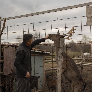 Man and Deer Untitled