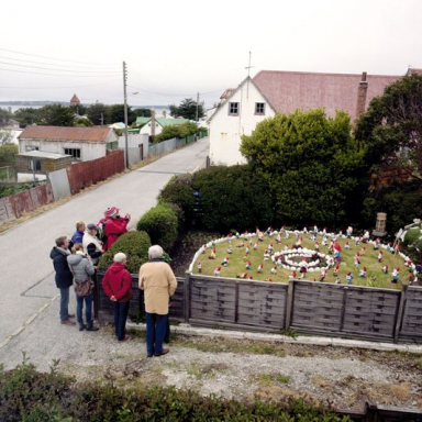 FALKLANDS WEB 006